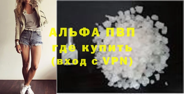 стафф Вязьма