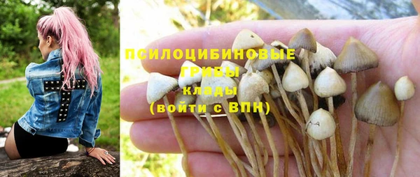 Альфа ПВП Волоколамск