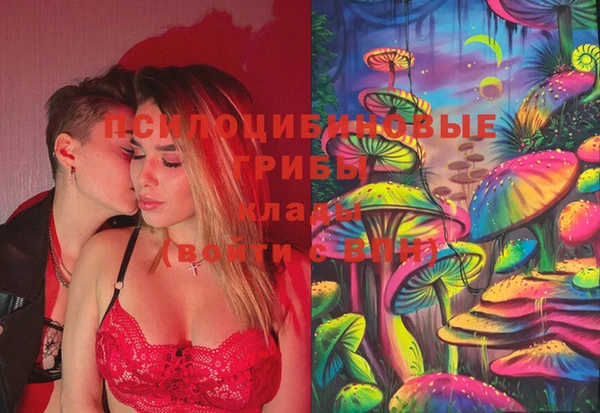 стафф Вязьма