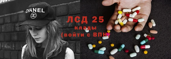 стафф Вязьма