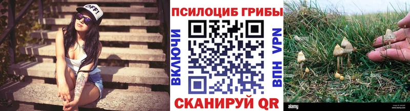 купить   omg tor  Псилоцибиновые грибы Magic Shrooms  Железногорск 
